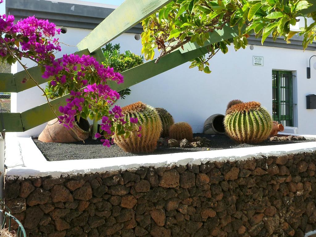 Apartamentos Guacimeta Matagorda  Zewnętrze zdjęcie